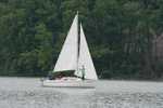 IMG 6826