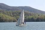 sailing