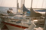 scan0011