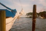 scan0017