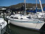 Highlight for Album: Catalina 270