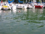 Cooling off before the dinner..