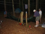 getting the canopies up..