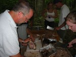More pig to chop!