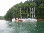 bunch of boats