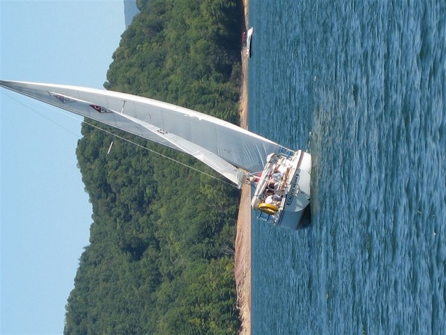IMG 0137