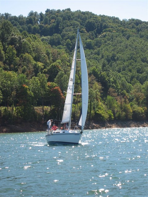 3rd Race (Fannon's Pictures taken on Little's Wild Blue Yonder)