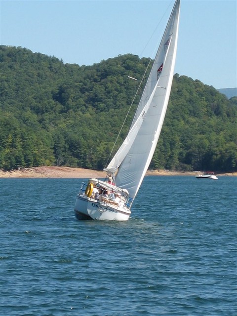3rd Race (Fannon's Pictures taken on Little's Wild Blue Yonder)