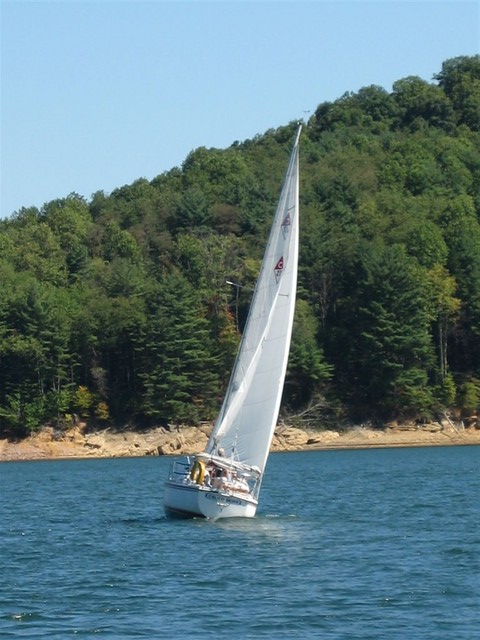 3rd Race (Fannon's Pictures taken on Little's Wild Blue Yonder)