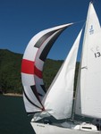 3rd Race (Fannon's Pictures taken on Little's Wild Blue Yonder)