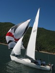 3rd Race (Fannon's Pictures taken on Little's Wild Blue Yonder)