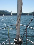 3rd Race (Fannon's Pictures taken on Little's Wild Blue Yonder)