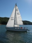3rd Race (Fannon's Pictures taken on Little's Wild Blue Yonder)