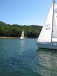 3rd Race (Fannon's Pictures taken on Little's Wild Blue Yonder)