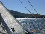 5th Fall Race, Just for Fun, around the island.. [Pictures from Clarke Lucas]