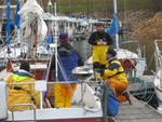 Cold Day, Big Wind! (Pictures by Minta Fannon)