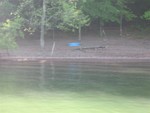 site of successful S'Mores and marshmellow roast..
http://en.wikipedia.org/wiki/Smores