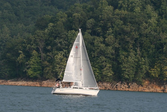 picture submitted by Sue Lockett
