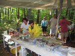 setting up the feast!