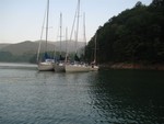 fleet on buoy line