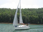 IMG 0736