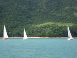 Upwind leg towards Watauga Point (picture from Sandra Little)