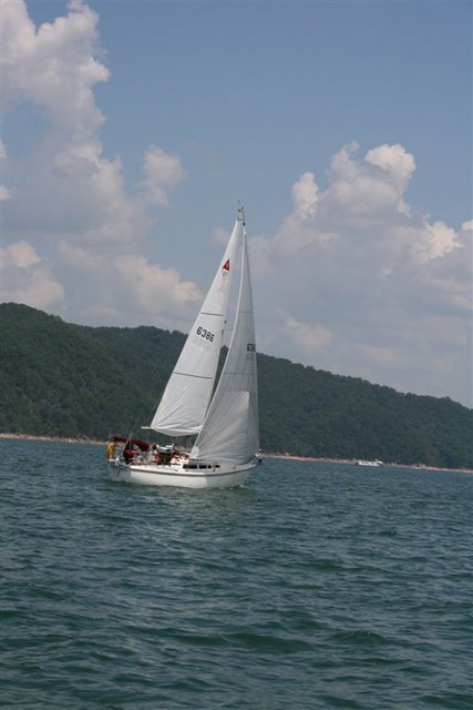Race Start (picture from Sue Lockett