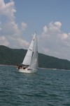 Race Start (picture from Sue Lockett