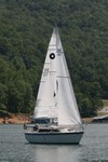 IMG 5319-1