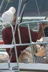 races are going to the dogs..