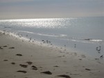 Beach on ocean side of Cape Lookout
