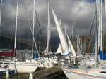 Drying the sails out, day after race, picture from C. Lucas
