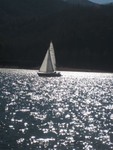 sun dancing across water