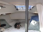 Reese, Jan and Dave Bryson's dog, on Wild Blue Yonder relaxing..