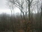 View from the Restaurant window