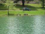 approaching swimming area west of Rat Branch boat ramp