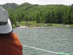 Approaching Rat Branch Boat Ramp