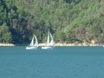 DSCF0072